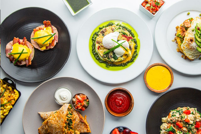 Overhead spread of Blu Jam Cafe brunch dishes including eggs Benedict with bacon, baked eggs in chimichurri, a breakfast burrito, quesadillas with pico de gallo and sour cream, scrambled eggs, and fresh fruit